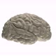 Brain 4K - VideoHive Item for Sale