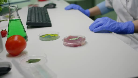 Biologist Researcher Looking at Plant Based Beef Substitute for Vegetarien People