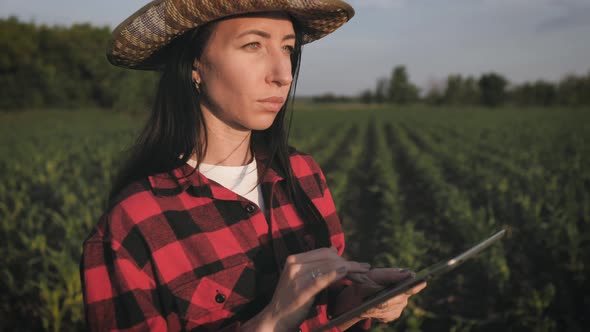 Smart Technologies in Agriculture