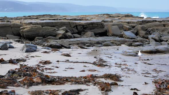 Lorne foreshore during sunset. Waves crash into the large rocks on the foreshore. PAN UP. SLOW MOTIO