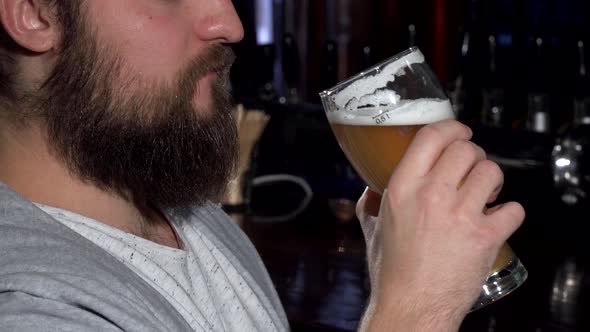 Bearded Man Smiling After Sipping Delicious Beer at the Bar