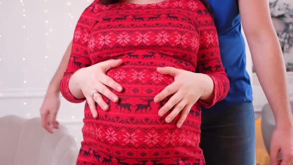 Happy Future Parents are Expecting the Birth of a Baby the Husband Strokes the Belly of His Wife