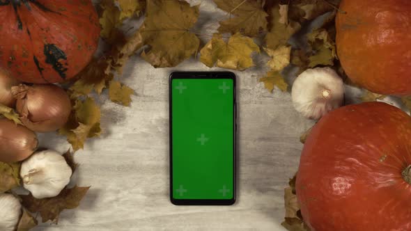 A Lady Puts a Greenscreen Smartphone in Vertical Orientation in the Middle of Autumn Composition