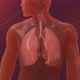 Lungs Breathe - VideoHive Item for Sale