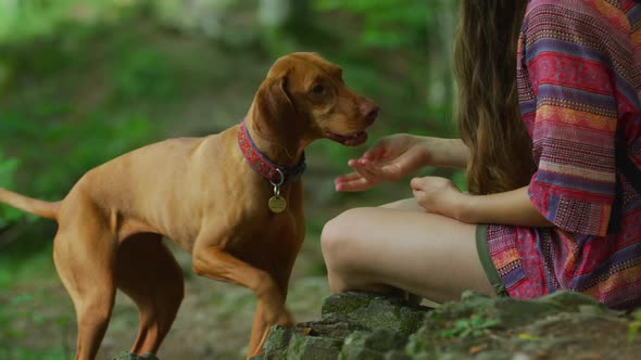 Girl training a dog