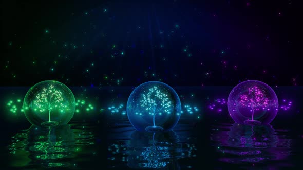 Trees Inside Orbs Surrounded By Particles