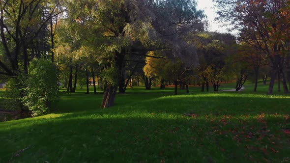 The Beauty of an Autumn Park in St