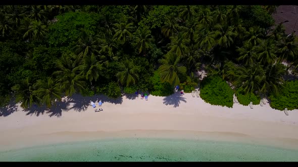 Aerial drone shot nature of exotic coastline beach wildlife by clear water with white sand backgroun