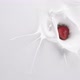 Fresh Berries Falling Down to the Milk - VideoHive Item for Sale
