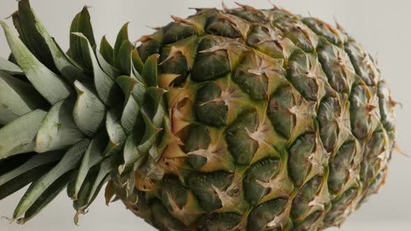 Exotic pineapple fruit laid down 4K 2160p 30fps UltraHD tilting footage - Slow tilt on fresh Ananas 