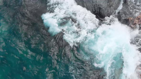 Azure ocean, white foam, black coastline and sea turtles captured by drone at Kauai, Hawaii, USA