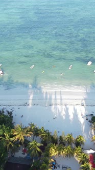 Beach on the Coast of Zanzibar Island Tanzania