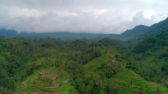 Rice Terraces in a Valley Surrounded by Mountains