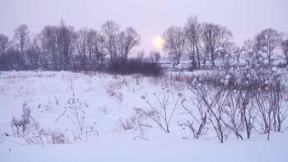 Winter in Nature, Beautiful Landscape at Sunset.