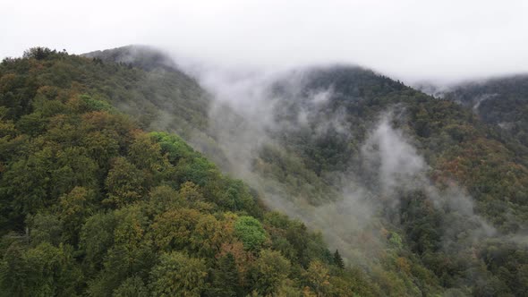 Mountains in Fog Slow Motion. Aerial View of the Carpathian Mountains in Autumn. Ukraine