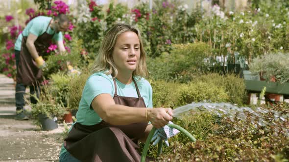 Greenhouse Female Worker Watering Plants From Hose