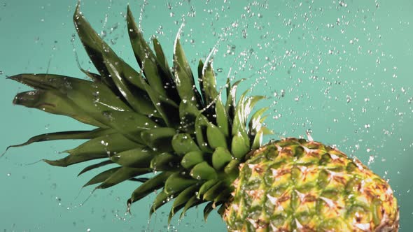 Flying of Pineapple in Turquoise Blue Background in Slow Motion