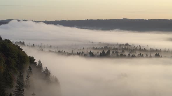 Aerial view of fog in the forest, Pupplinger Au, Germany