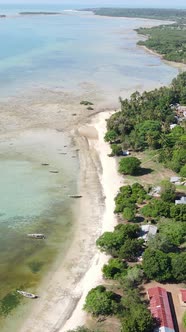 Vertical Video of Low Tide in the Ocean Near the Coast of Zanzibar Tanzania