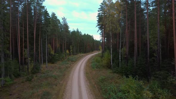 Gravel Country Road in Green Pine Forest Woods Growing Both Sides. Aerial Dron 4k View.