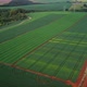 Experimental Soyfield Drone Dive - VideoHive Item for Sale