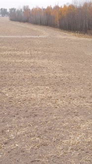 Vertical Video of a Field with Plowed Land in Autumn Slow Motion