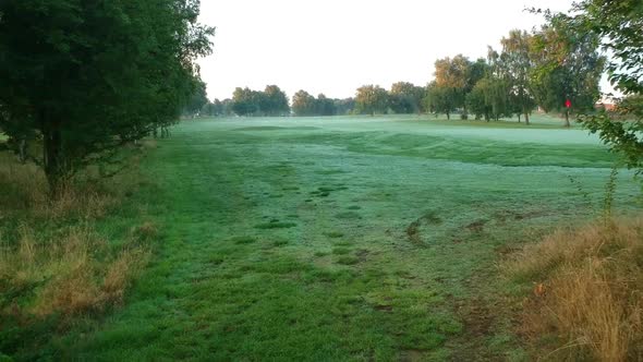 Between trees & hedges at a golf course