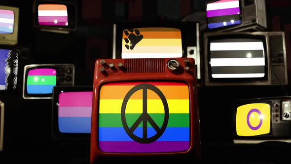 LGBT Pride Flags on Retro TVs.