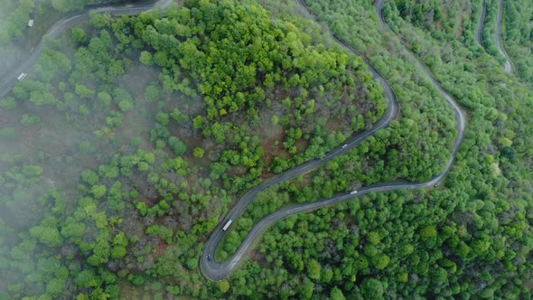 Aerial Shot Of The Winding Mountain Road Between The Trees