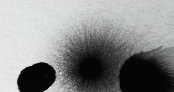 Ink Drop Paint Water Splatter Black Fluid Blotch alt