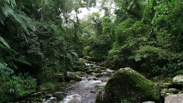 Slow movement of camera through river inside rainforest in Brazil