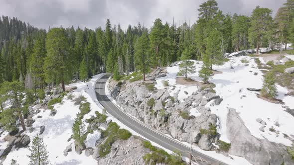 Large Grove of Sequoias Within Snowy Meadows and Mountains in the Background