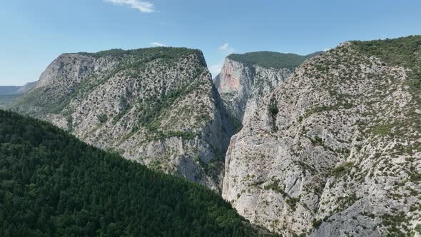 Green Forest And Deep Valla Canyon