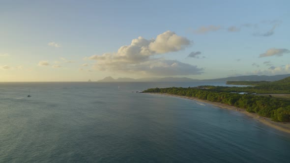 Aerial of green trees along serene sea seascape