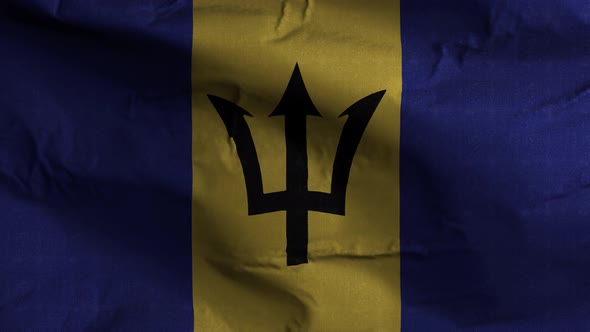 Barbados Flag Textured Waving Background 4K