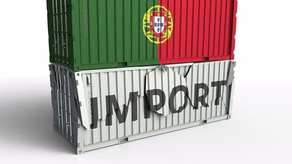 Container with Flag of Portugal Breaking Container with IMPORT Text