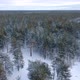 Flight Over a Taiga Forest in Winter - VideoHive Item for Sale