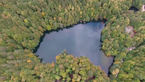 Lake And Pine Forest