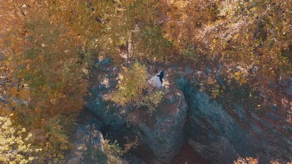 Groom with Bride in the Forest Park. Wedding Couple. Happy Family. Aerial Shot