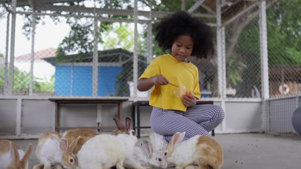 4K Little African girl feeding carrot to the rabbit in the park.