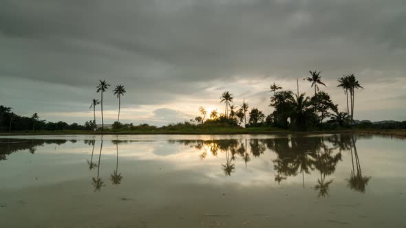 Time lapse reflection dark cloud over coconut trees