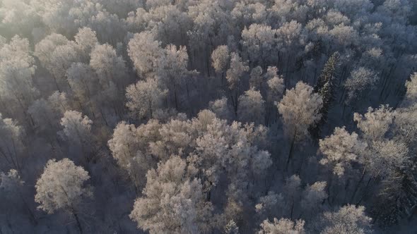 Winter Landscape in Countryside