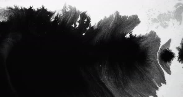 Paint Water Blot Ink Spill Black Fluid Spreading alt