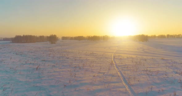 Aerial Drone View of Cold Winter Landscape with Arctic Field Trees Covered with Frost Snow and