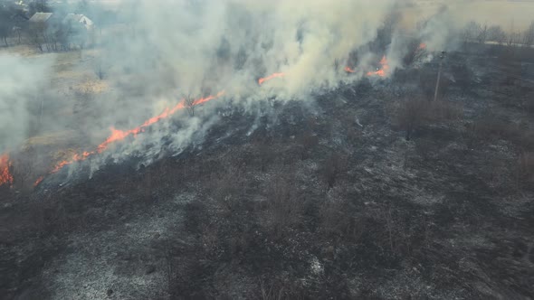 Man Watching the Fire