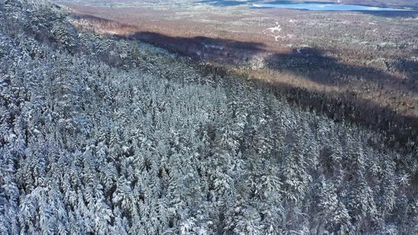 Aerial ORBIT around a ridge of snow covered trees on the side of a mountain with cloud shadows in th