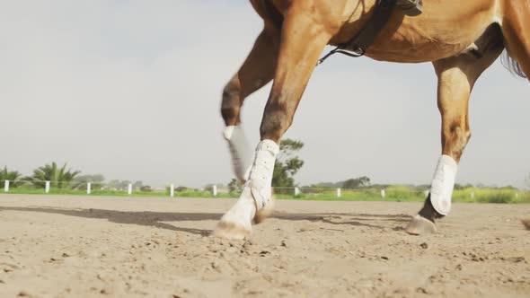 African American man riding his Dressage horse