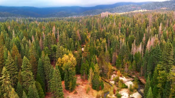 Aerial shot over pine forest with a ?creek flowing through it and a storm rolling over the mountains