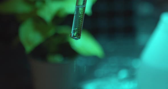 Drops of water dripping from the pipette. Green-lit lab. A plant in the background. Close-up