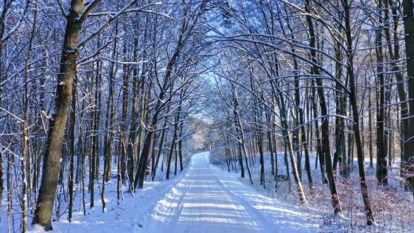 Transport in snowy winter. Road and forest at winter.